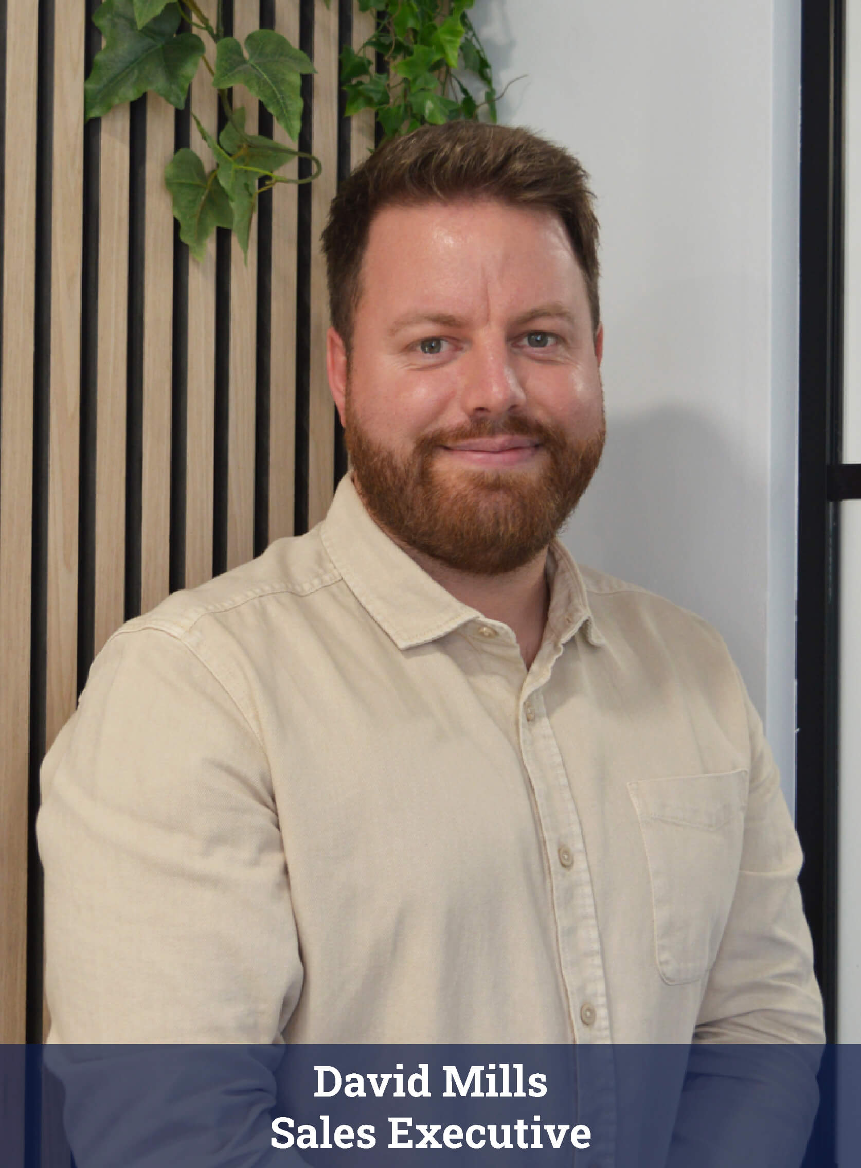 David_Sales_Executive